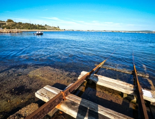 Travaux maritimes : Visite préalable chantier de rénovation de mise à l’eau à la plagette à Sète